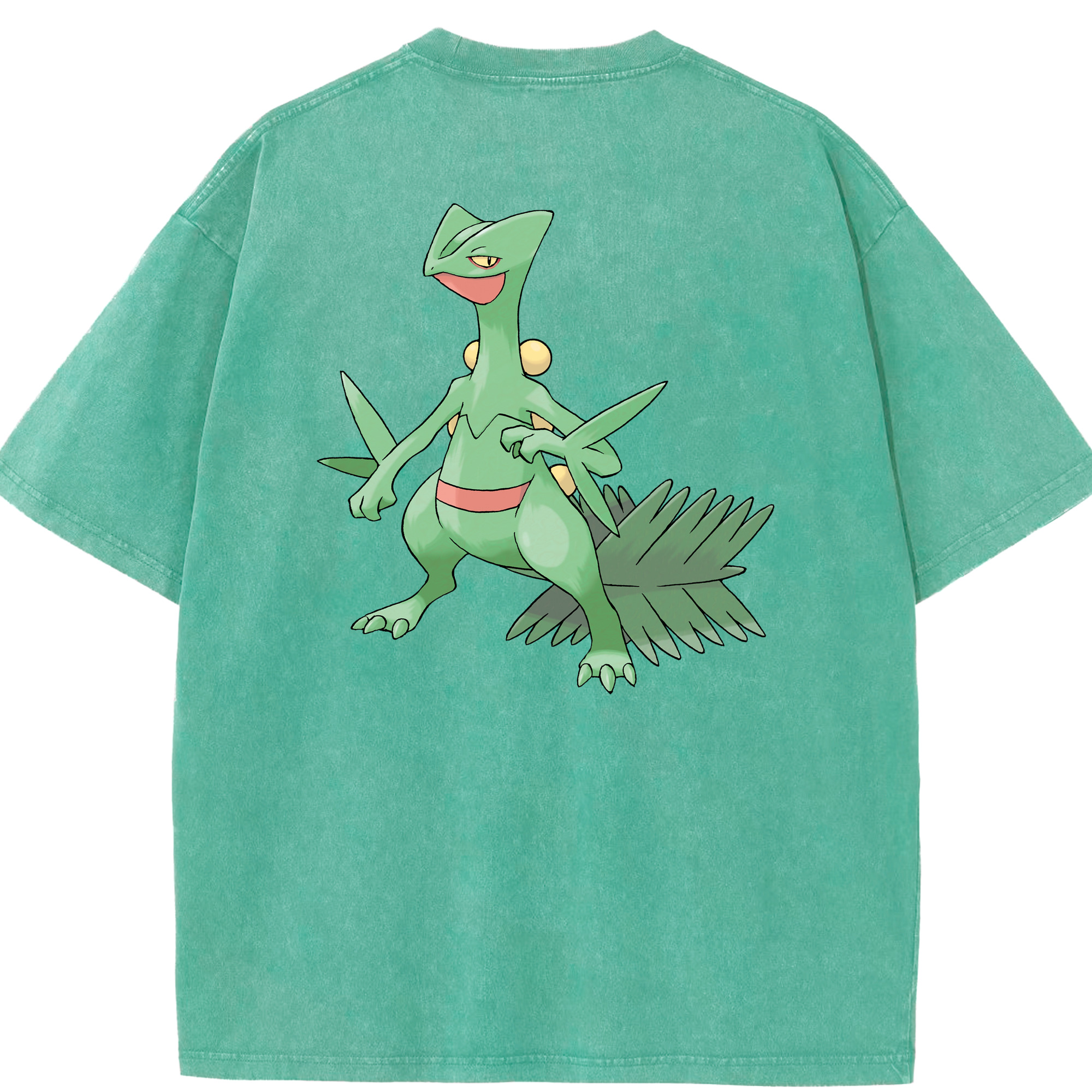 （画像用） ポケットモンスター Pokémon 綿100% ヴィンテージ風 半袖Tシャツ（背面プリント）